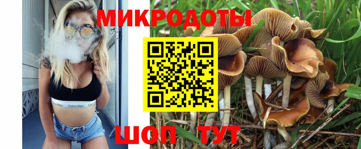 Псилоцибиновые грибы Psilocybe  Вход с VPN  Сегежа 