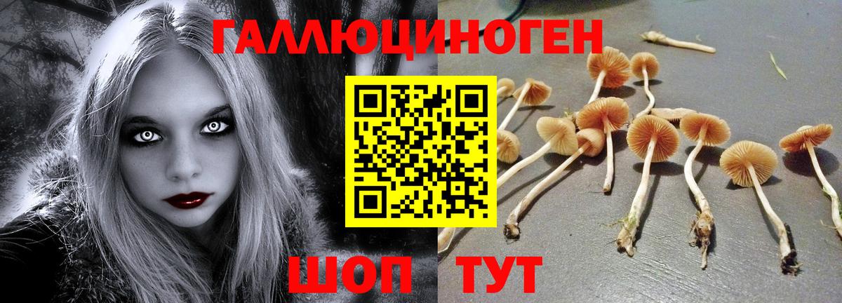 Сегежа  Вход с VPN  Меф МЯУ МЯУ   COCAIN  ГАШИШ  Кокаин  Марихуана  ЭКСТАЗИ 